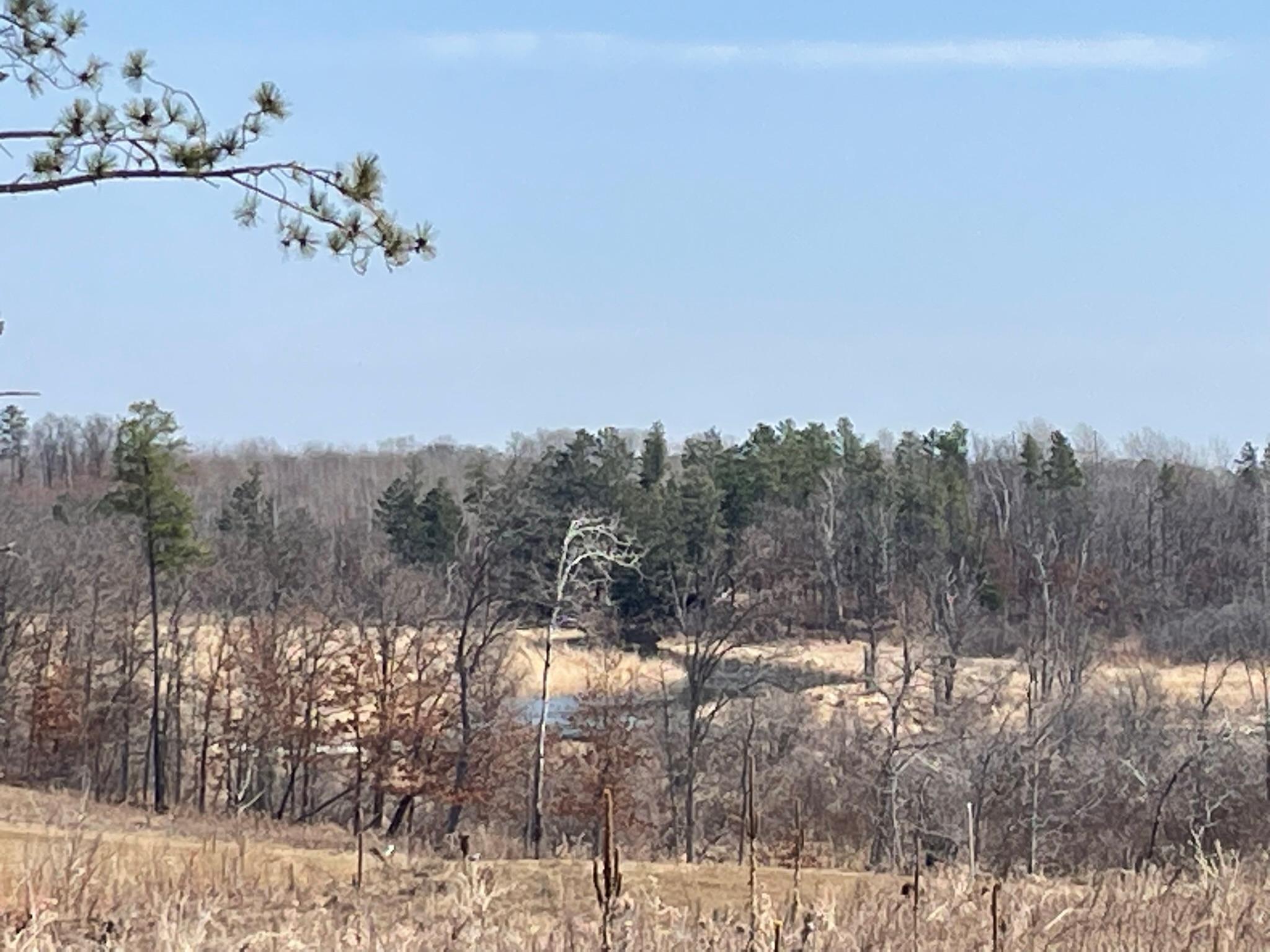 land for sale at 16434 Tom Lehman Drive in Brainerd, MN (photo 4 of 16)