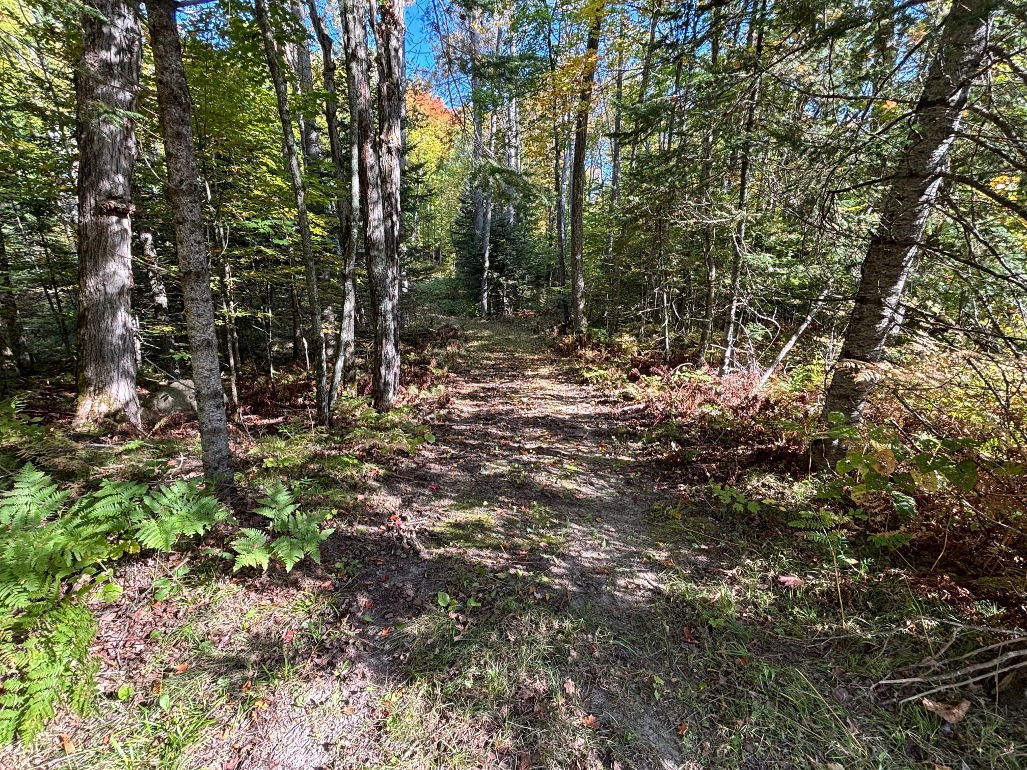 land for sale at TBD North Sherrys Arm Road in Grand Rapids, MN (photo 2 of 7)
