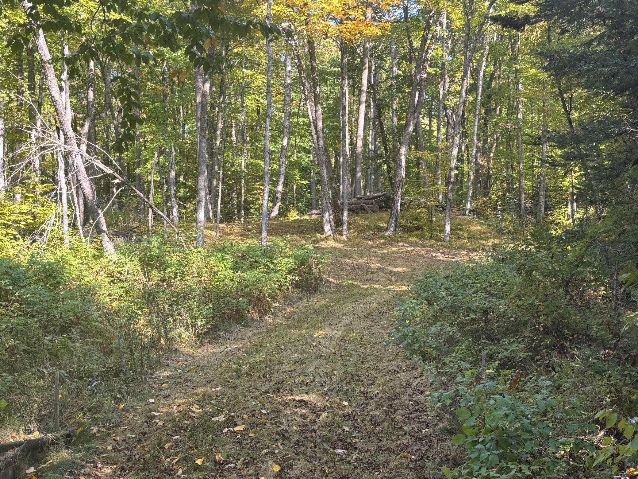 land for sale at TBD North Sherrys Arm Road in Grand Rapids, MN (photo 3 of 7)
