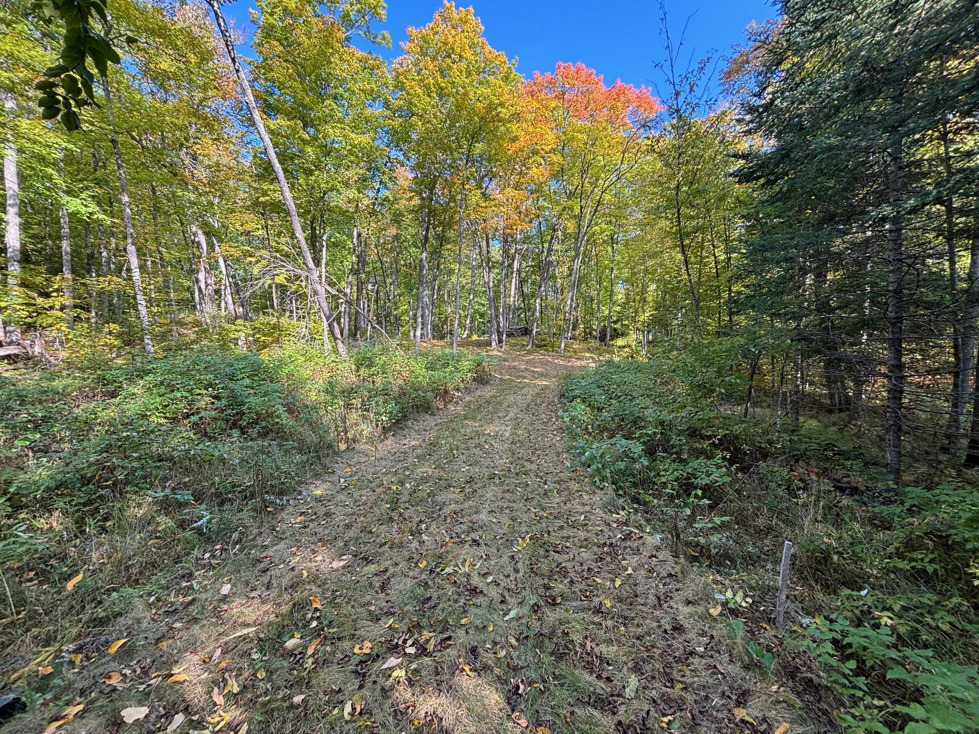 land for sale at TBD North Sherrys Arm Road in Grand Rapids, MN (photo 4 of 7)