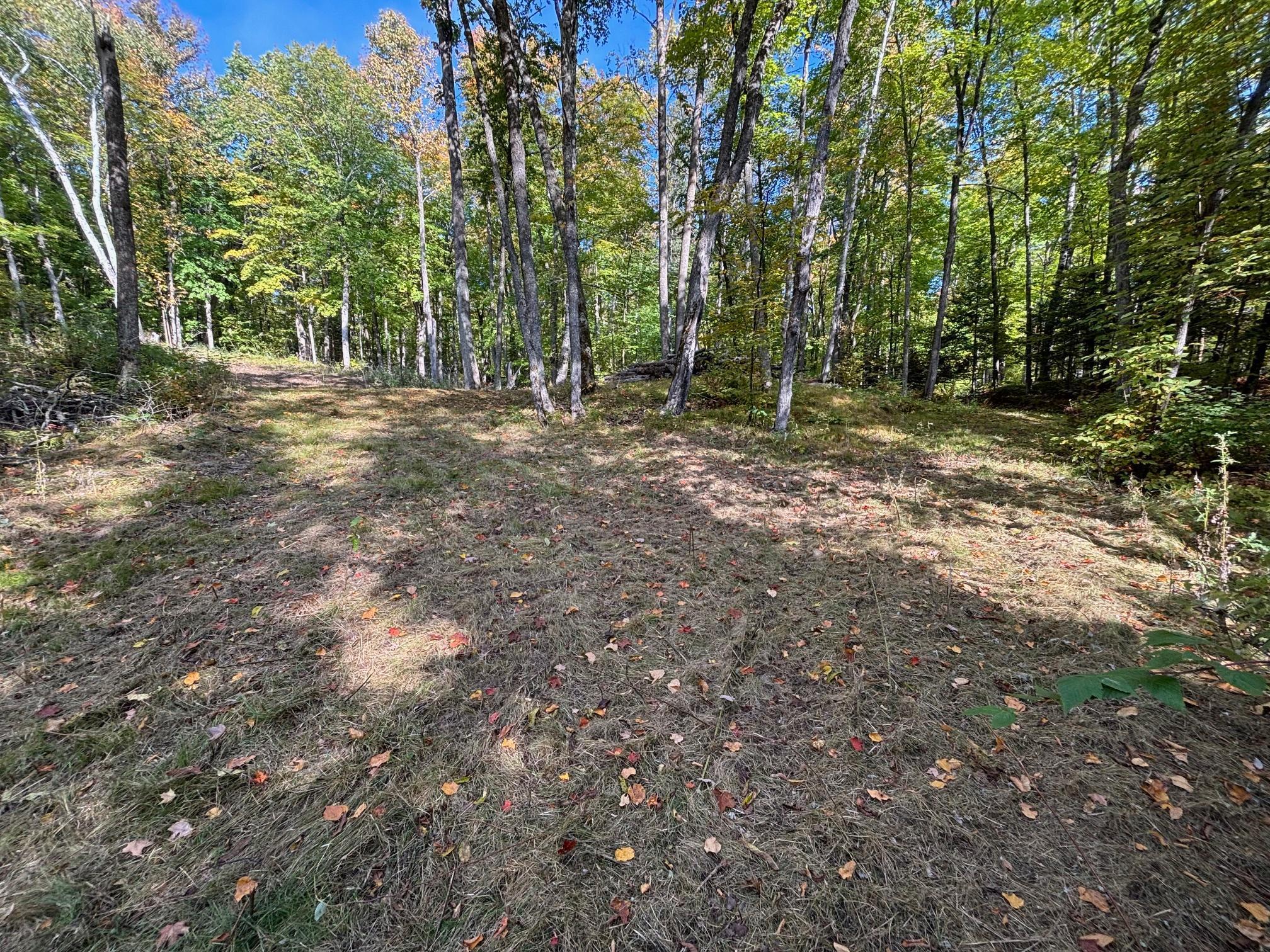 land for sale at TBD North Sherrys Arm Road in Grand Rapids, MN (photo 5 of 7)