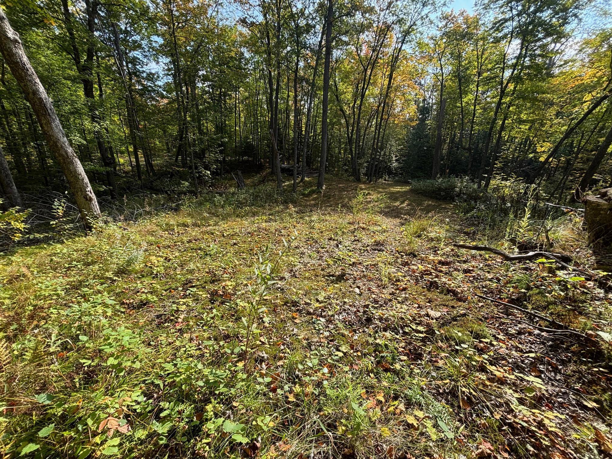 land for sale at TBD North Sherrys Arm Road in Grand Rapids, MN (photo 6 of 7)
