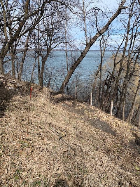 land for sale at 50378 Anderson Beach Trail in Pelican Rapids, MN (photo 7 of 15)