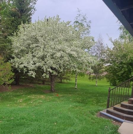 1920 single family home for sale at 3562 106 Avenue SE in Sanborn, ND — 2 bed, 2 bath (photo 17 of 32)
