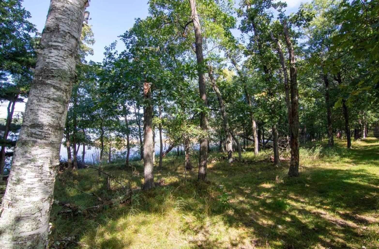 land for sale at TBD Deacons Way in Pequot Lakes, MN (photo 11 of 18)
