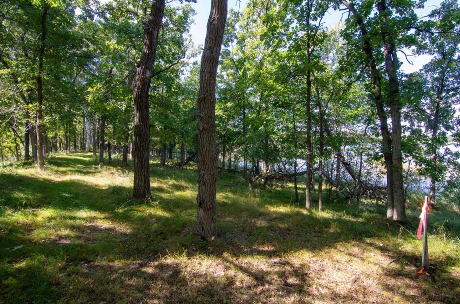 land for sale at TBD Deacons Way in Pequot Lakes, MN (photo 12 of 18)