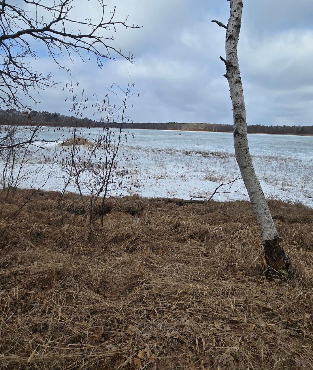 land for sale at TBD Deacons Way in Pequot Lakes, MN (photo 16 of 18)