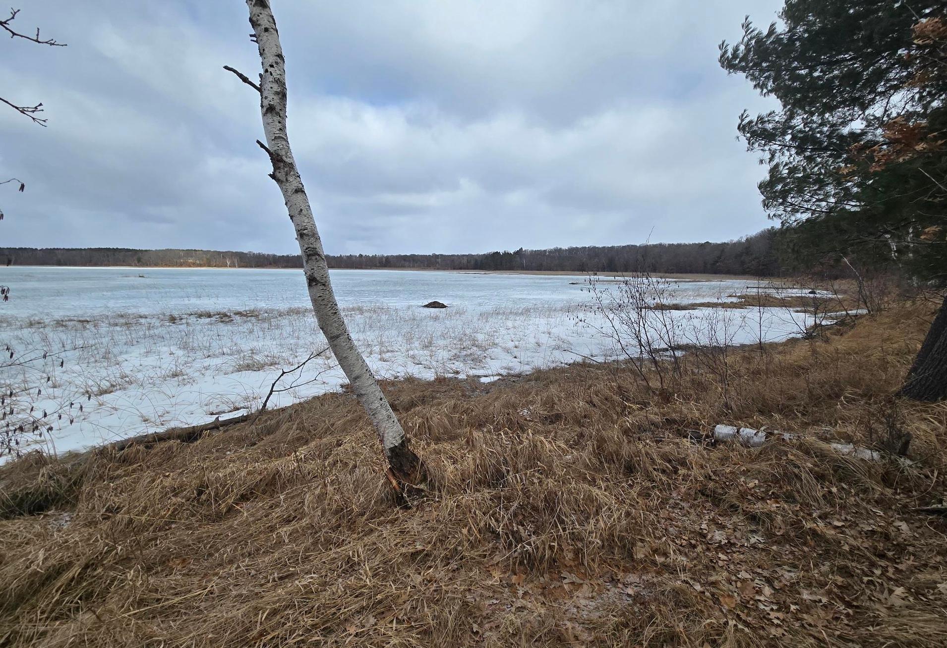 land for sale at TBD Deacons Way in Pequot Lakes, MN (photo 17 of 18)