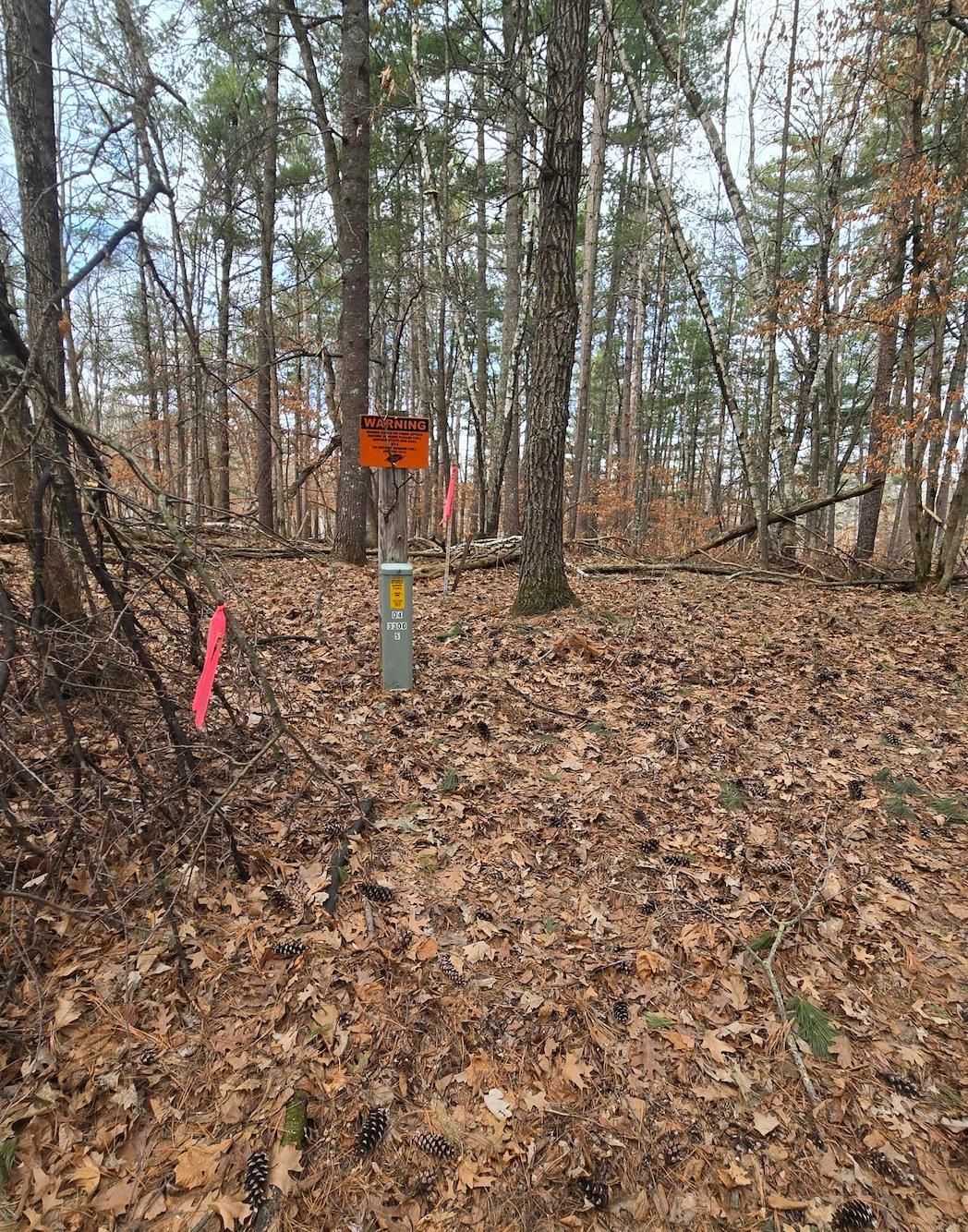land for sale at TBD Deacons Way in Pequot Lakes, MN (photo 18 of 18)