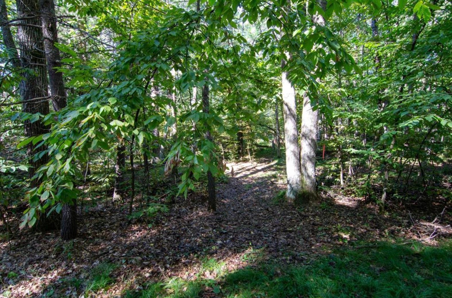 land for sale at TBD Deacons Way in Pequot Lakes, MN (photo 3 of 18)
