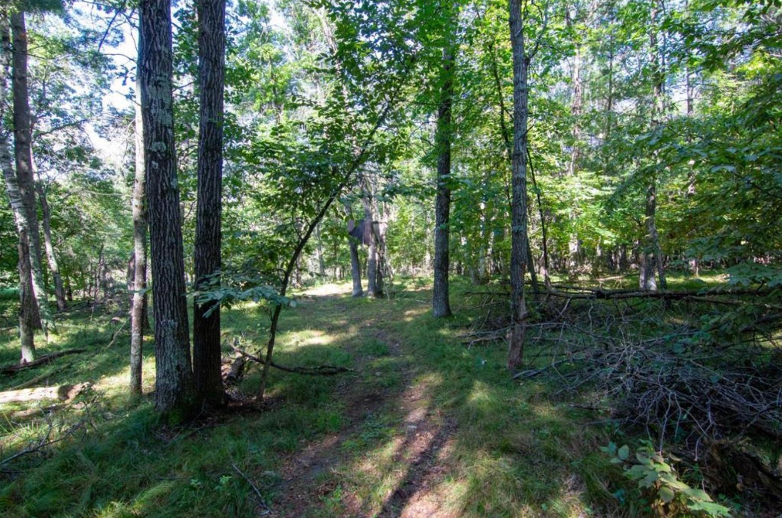 land for sale at TBD Deacons Way in Pequot Lakes, MN (photo 4 of 18)