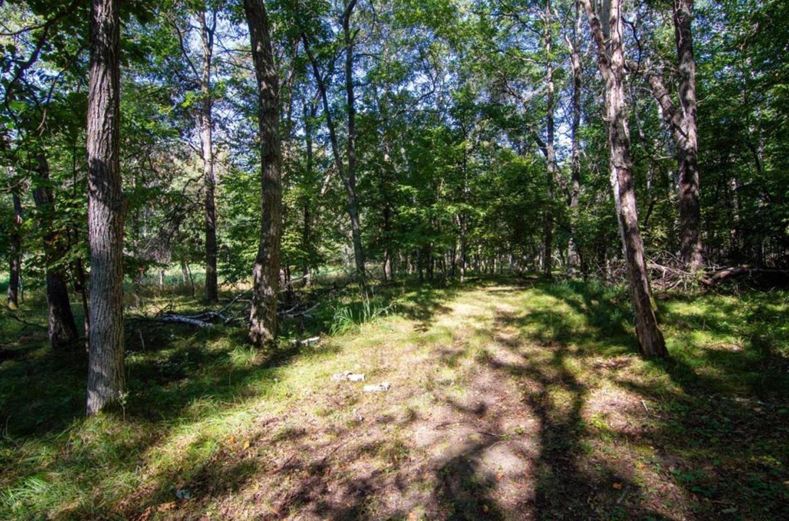 land for sale at TBD Deacons Way in Pequot Lakes, MN (photo 5 of 18)