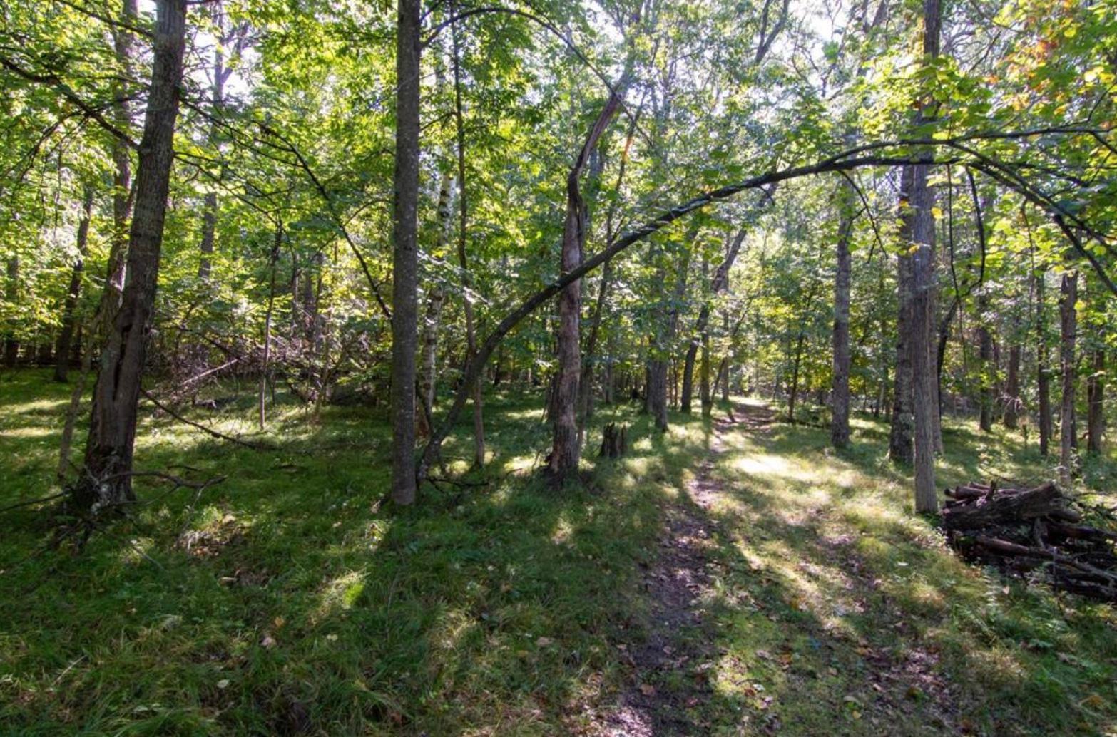 land for sale at TBD Deacons Way in Pequot Lakes, MN (photo 6 of 18)