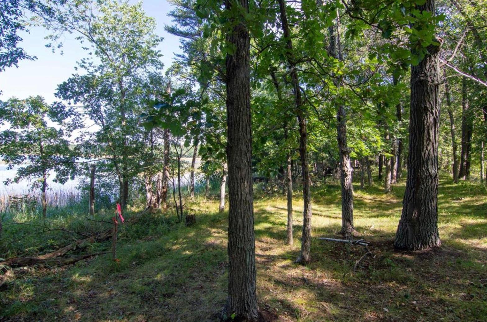 land for sale at TBD Deacons Way in Pequot Lakes, MN (photo 8 of 18)