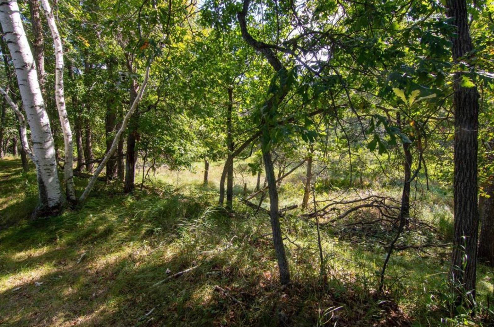 land for sale at TBD Deacons Way in Pequot Lakes, MN (photo 9 of 18)