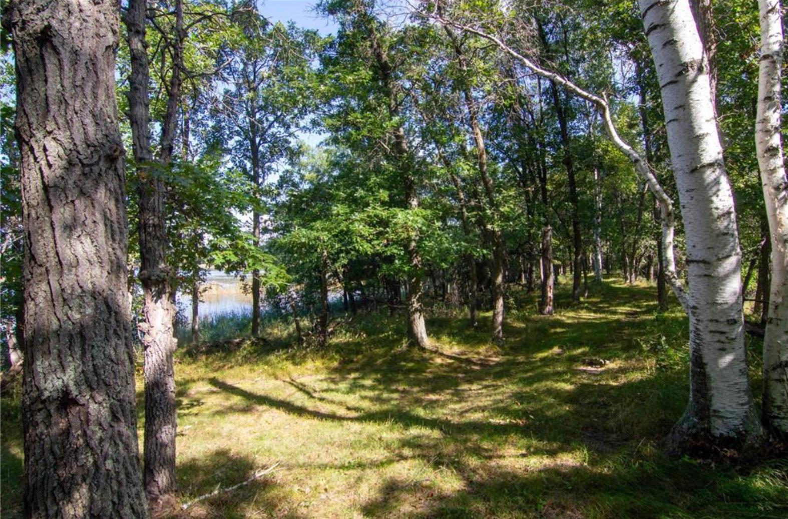 land for sale at TBD Deacons Way in Pequot Lakes, MN (photo 10 of 18)
