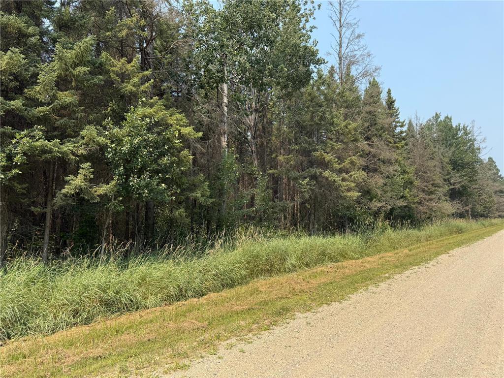 land for sale at TBD 40 Acres Sunflower in Kelliher, MN (photo 2 of 12)