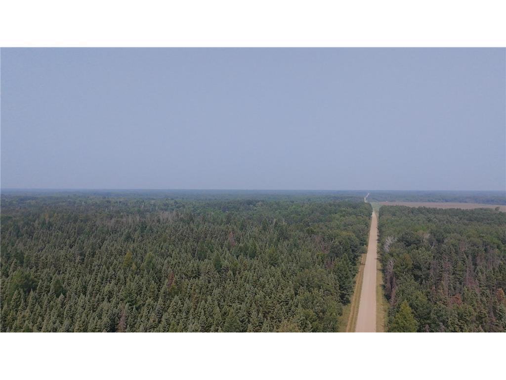 land for sale at TBD 40 Acres Sunflower in Kelliher, MN (photo 11 of 12)