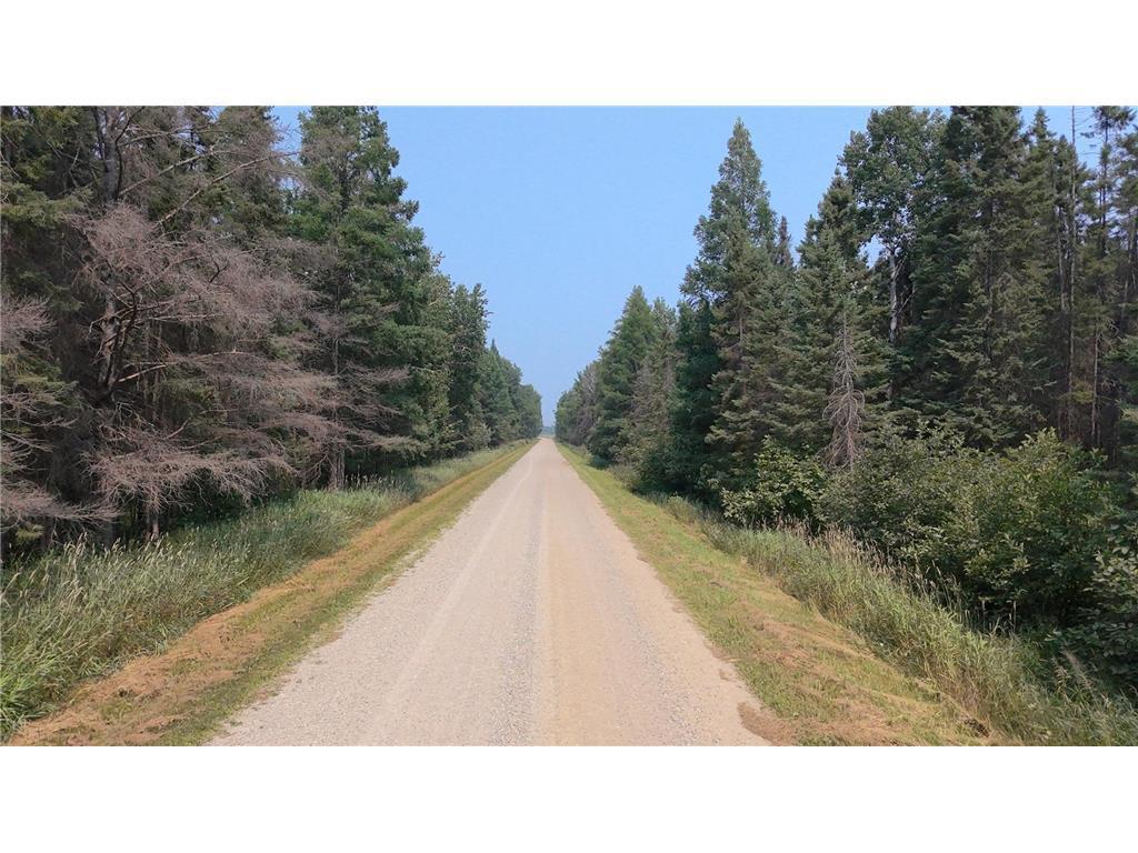 land for sale at TBD 40 Acres Sunflower in Kelliher, MN (photo 12 of 12)