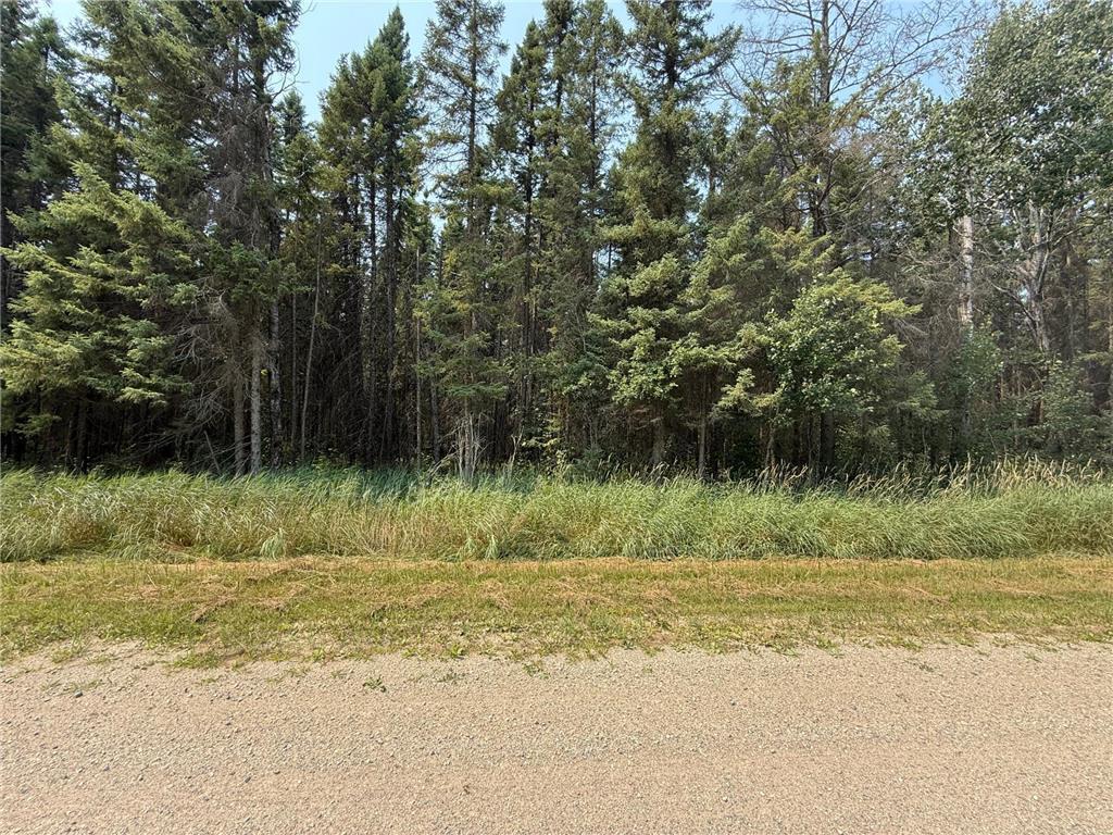 land for sale at TBD 40 Acres Sunflower in Kelliher, MN (photo 3 of 12)