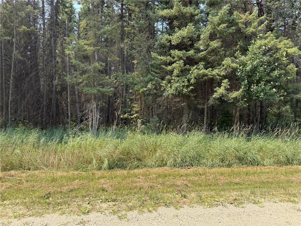 land for sale at TBD 40 Acres Sunflower in Kelliher, MN (photo 4 of 12)