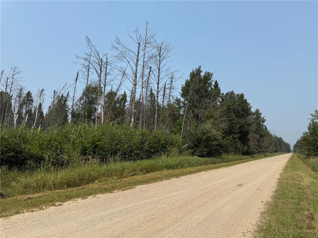 land for sale at TBD 40 Acres Sunflower in Kelliher, MN (photo 5 of 12)