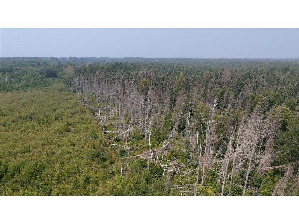 land for sale at TBD 40 Acres Sunflower in Kelliher, MN (photo 6 of 12)
