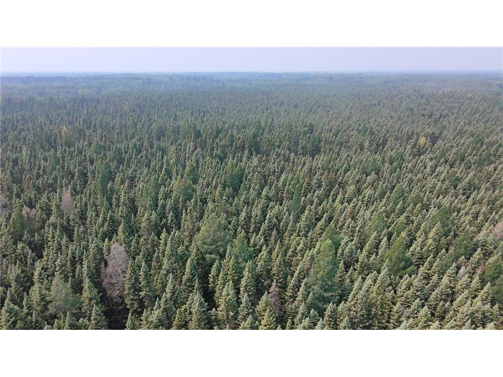 land for sale at TBD 40 Acres Sunflower in Kelliher, MN (photo 7 of 12)