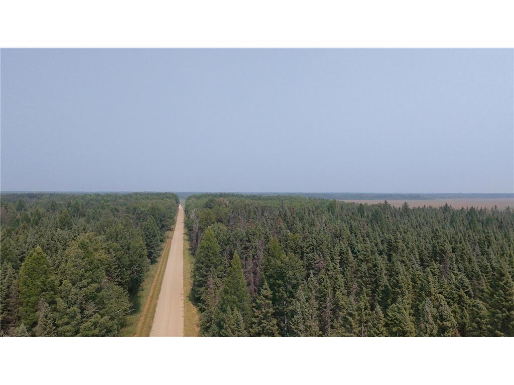 land for sale at TBD 40 Acres Sunflower in Kelliher, MN (photo 9 of 12)