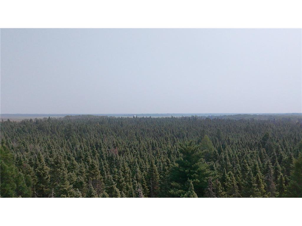 land for sale at TBD 40 Acres Sunflower in Kelliher, MN (photo 10 of 12)