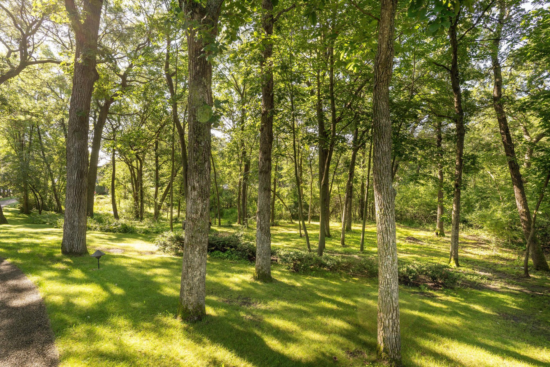 1992 single family home for sale at 2807 Government Point Road NE in Alexandria, MN — 4 bed, 6 bath (photo 4 of 81)