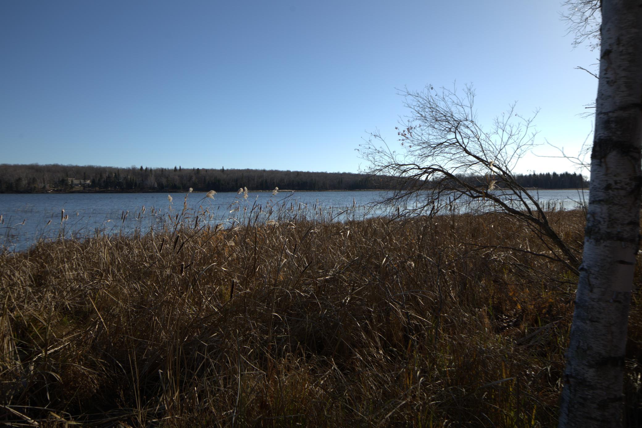land for sale at 36363 County Highway 34 in Ogema, MN (photo 11 of 16)
