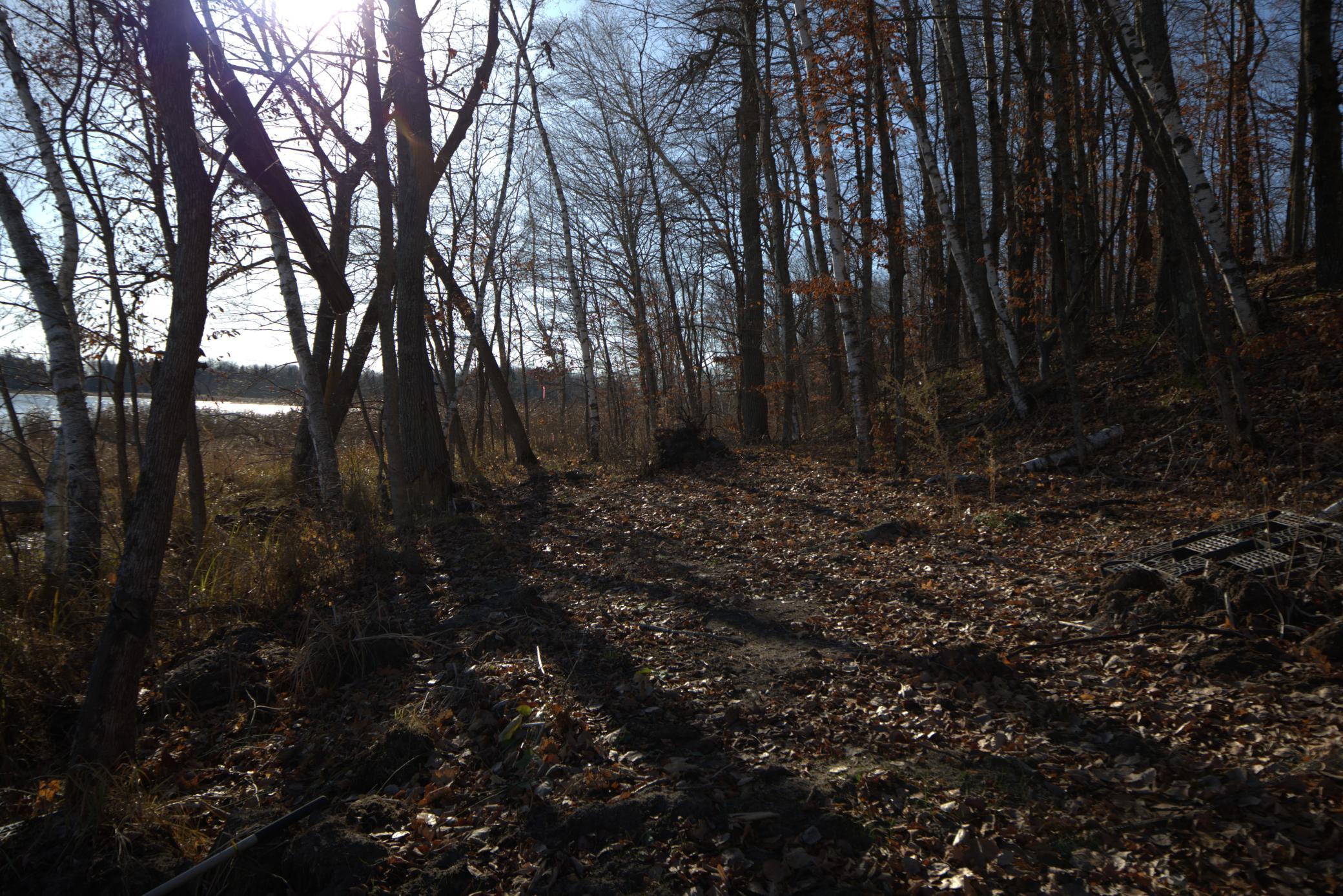 land for sale at 36363 County Highway 34 in Ogema, MN (photo 12 of 16)