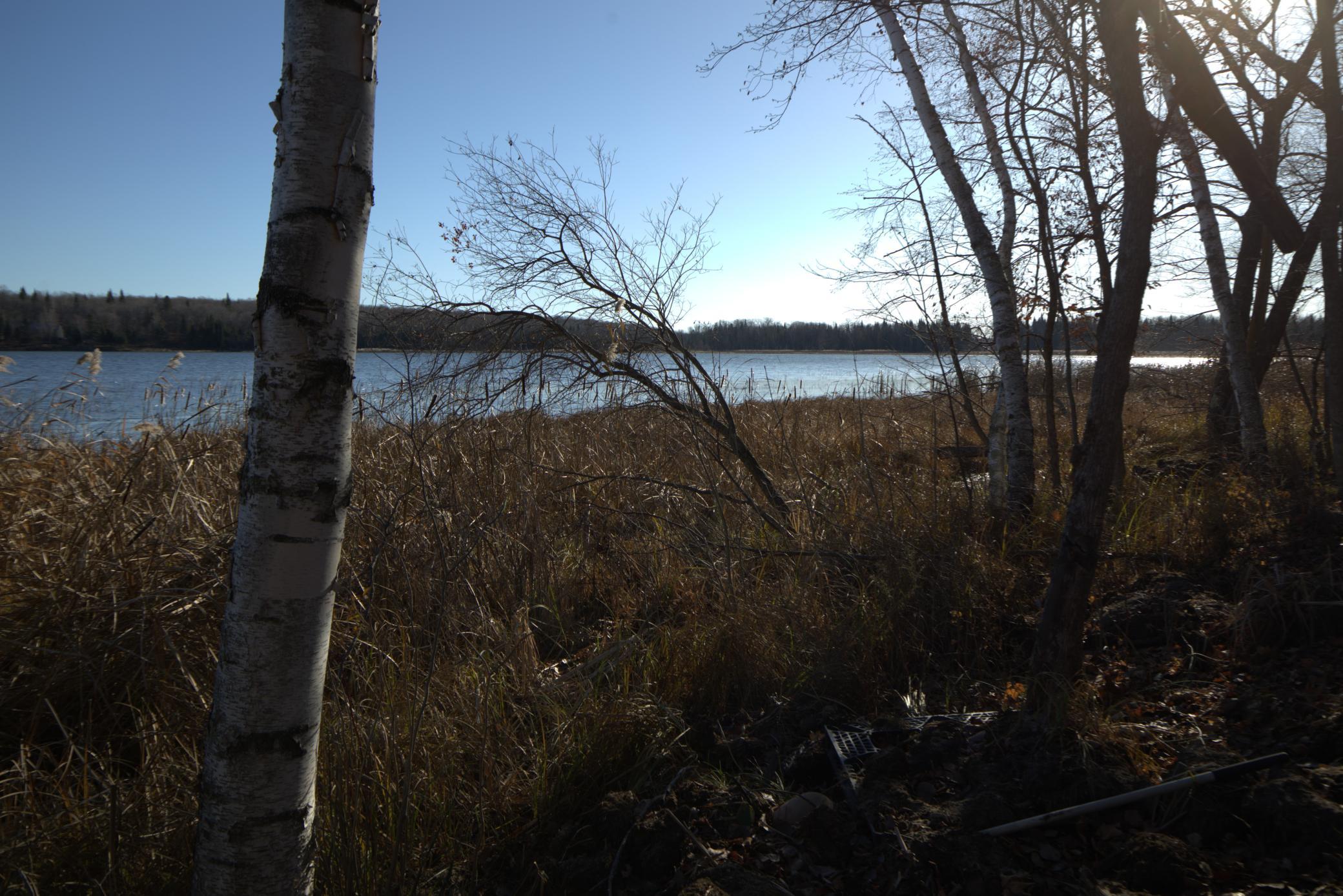 land for sale at 36363 County Highway 34 in Ogema, MN (photo 13 of 16)