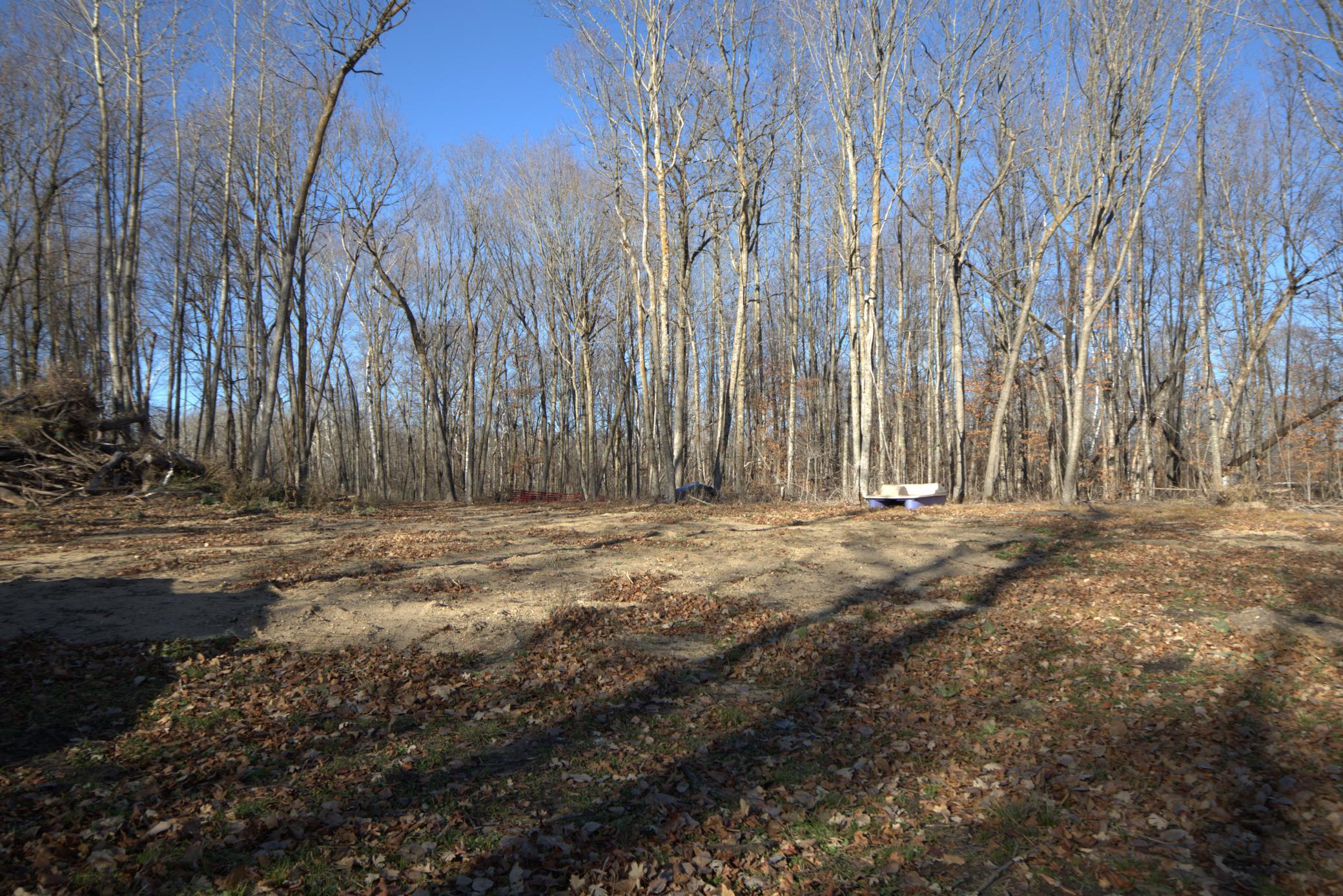 land for sale at 36363 County Highway 34 in Ogema, MN (photo 15 of 16)