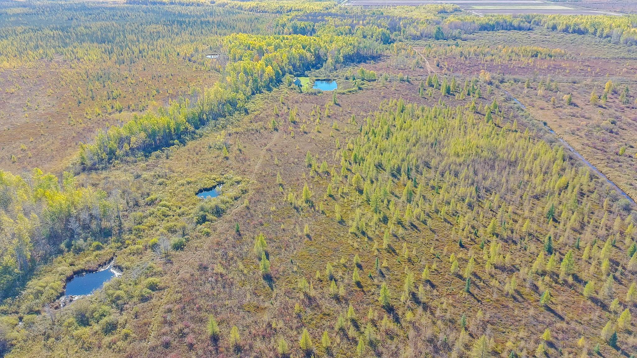 land for sale at 28532 460th Lane in Palisade, MN (photo 14 of 17)