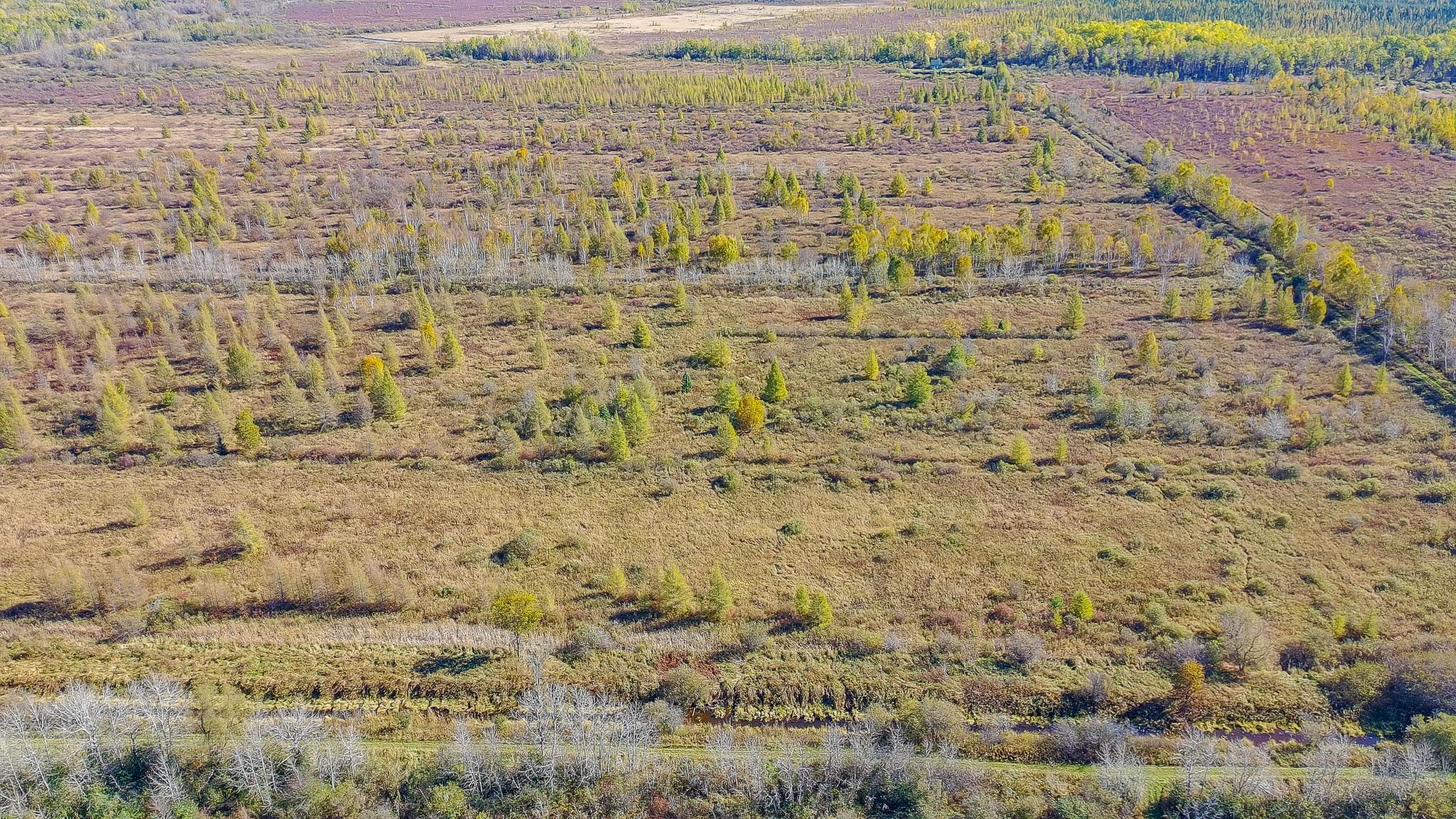 land for sale at 28532 460th Lane in Palisade, MN (photo 15 of 17)
