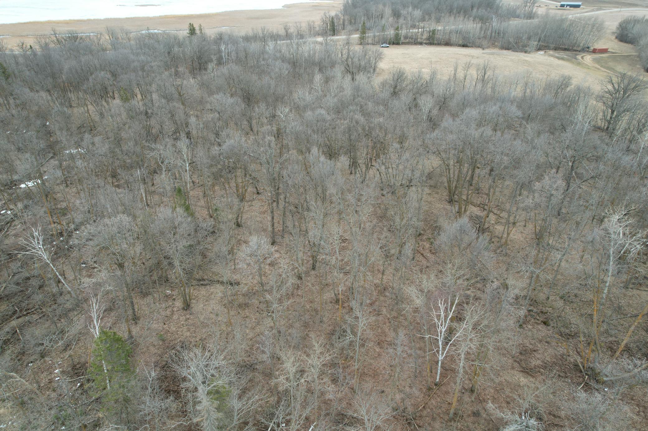 TBD 460th Street, Gonvick MN 56644 - Photo 11 of 57
