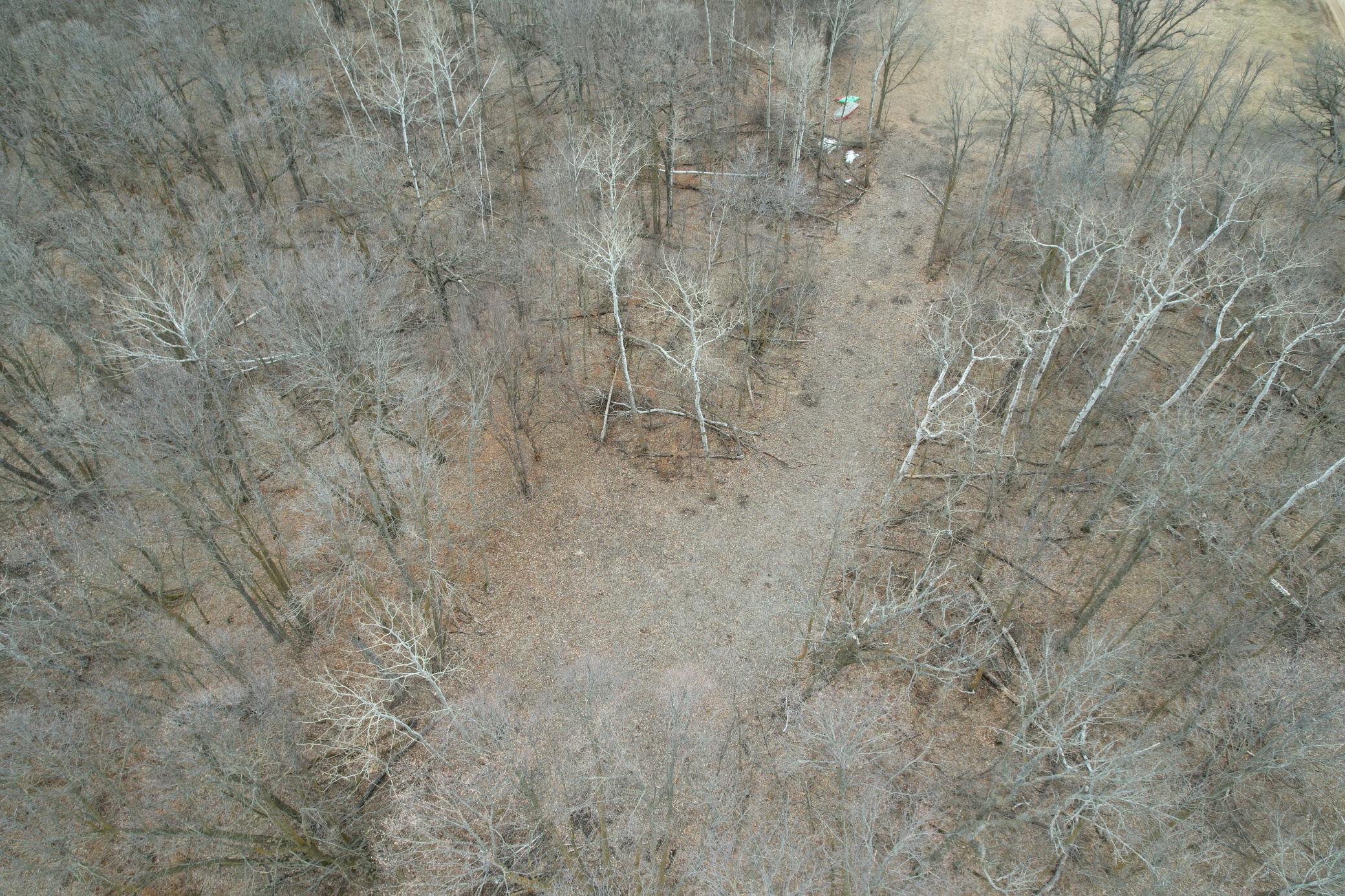 TBD 460th Street, Gonvick MN 56644 - Photo 12 of 57