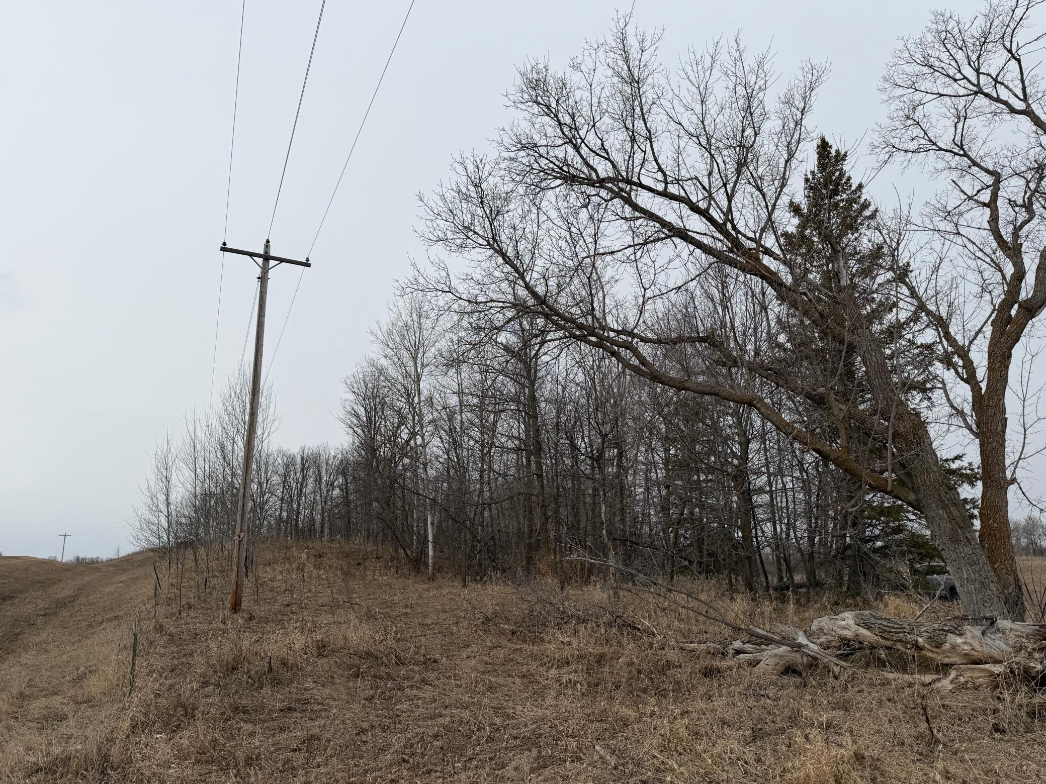 TBD 460th Street, Gonvick MN 56644 - Photo 20 of 57