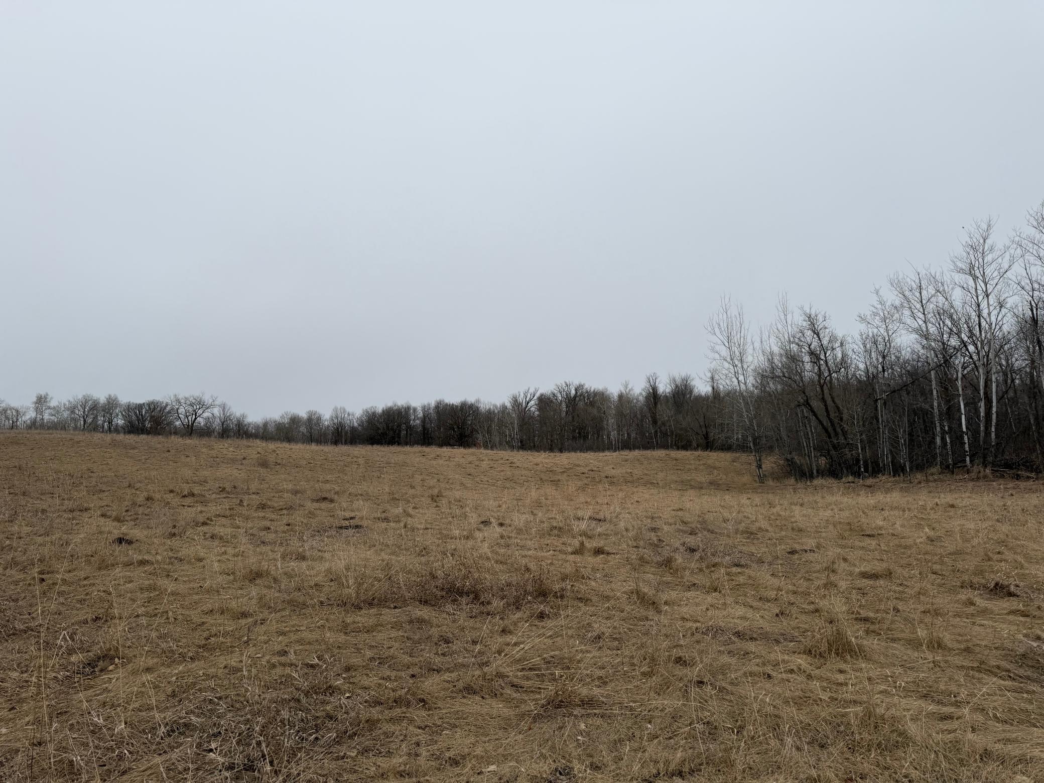 TBD 460th Street, Gonvick MN 56644 - Photo 21 of 57