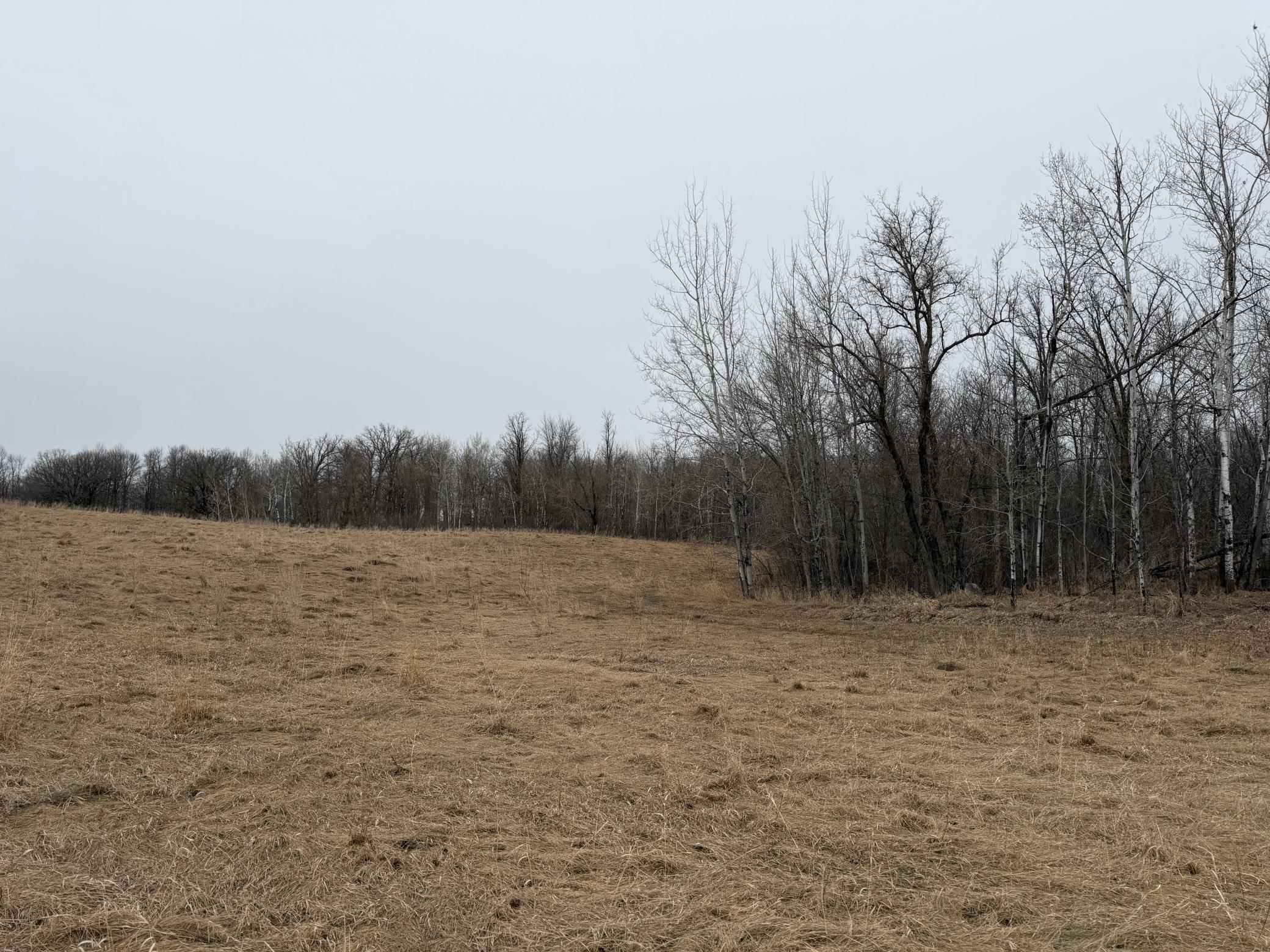 TBD 460th Street, Gonvick MN 56644 - Photo 22 of 57