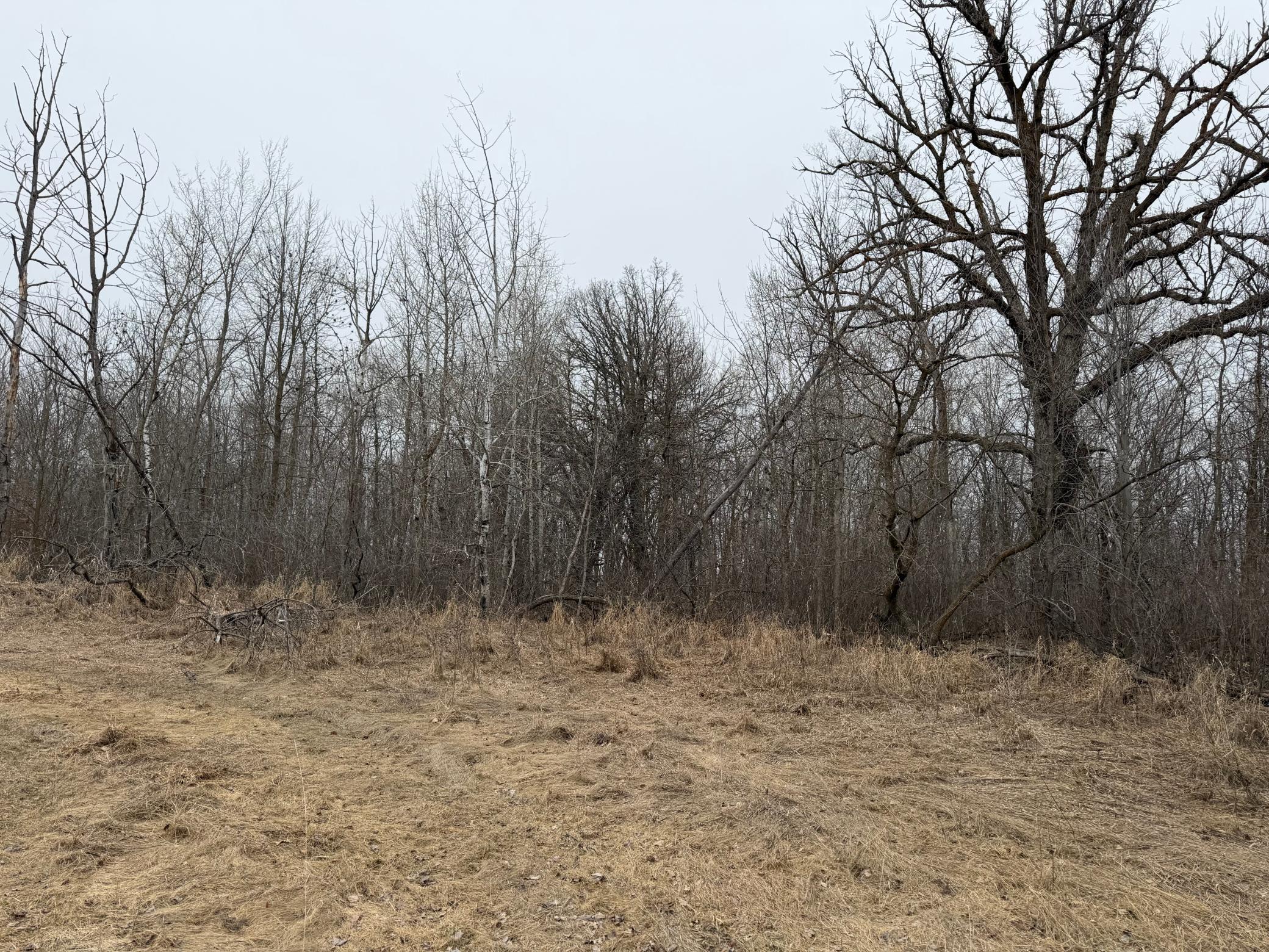TBD 460th Street, Gonvick MN 56644 - Photo 24 of 57