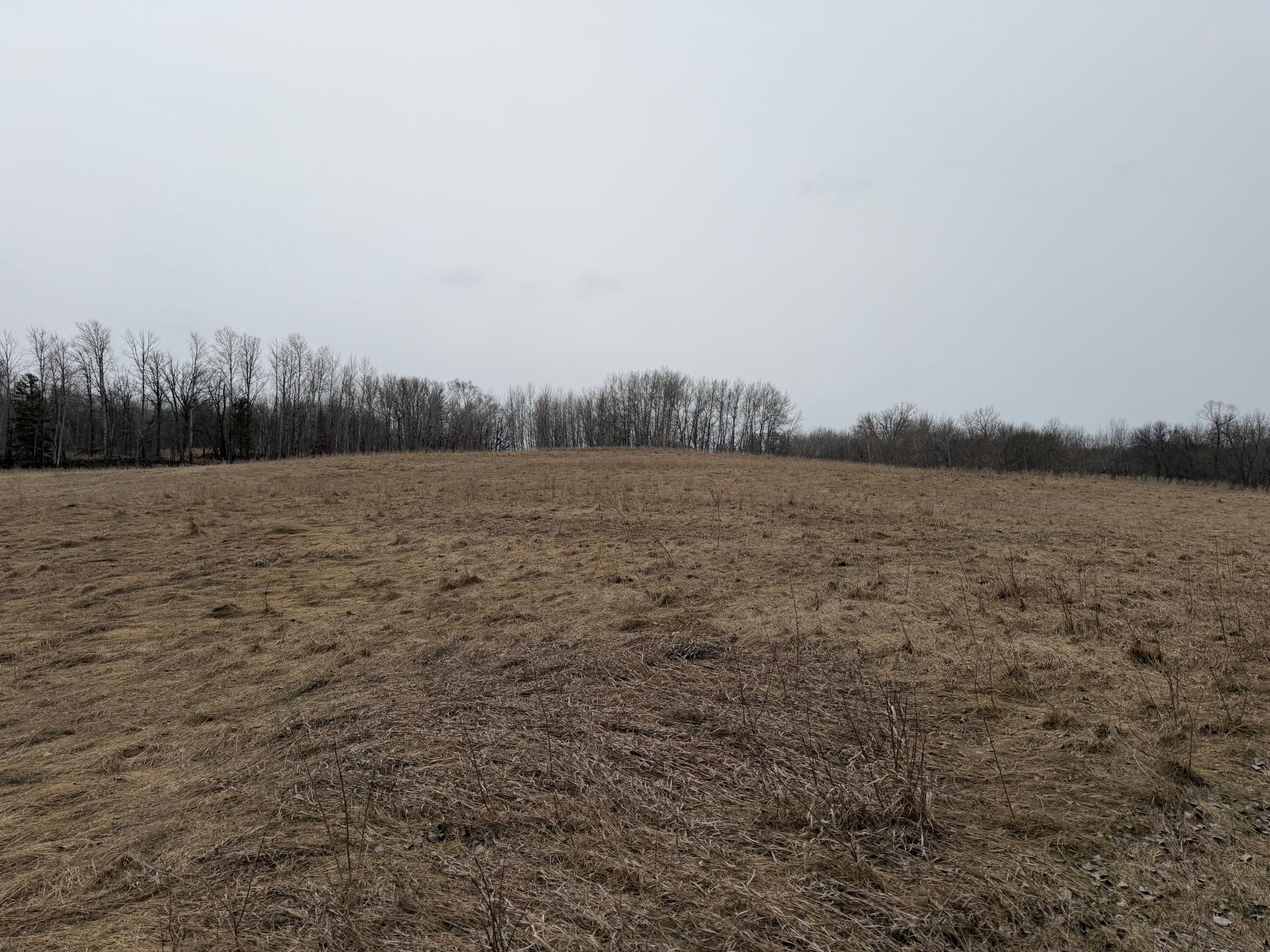 TBD 460th Street, Gonvick MN 56644 - Photo 25 of 57