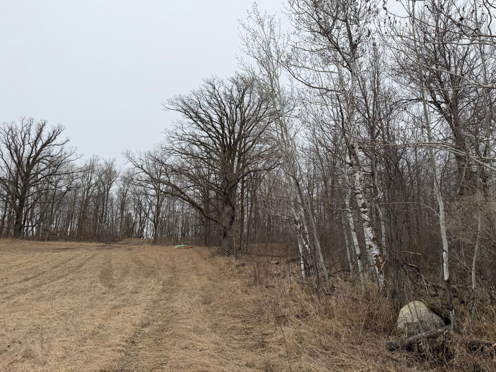 TBD 460th Street, Gonvick MN 56644 - Photo 27 of 57