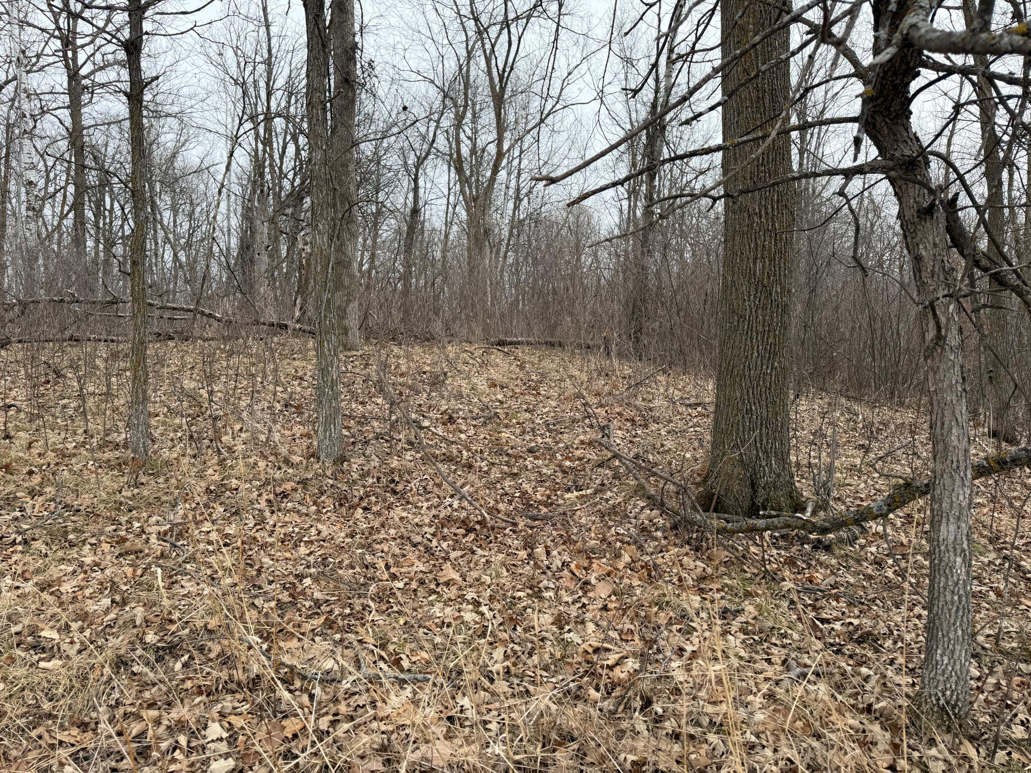 TBD 460th Street, Gonvick MN 56644 - Photo 29 of 57