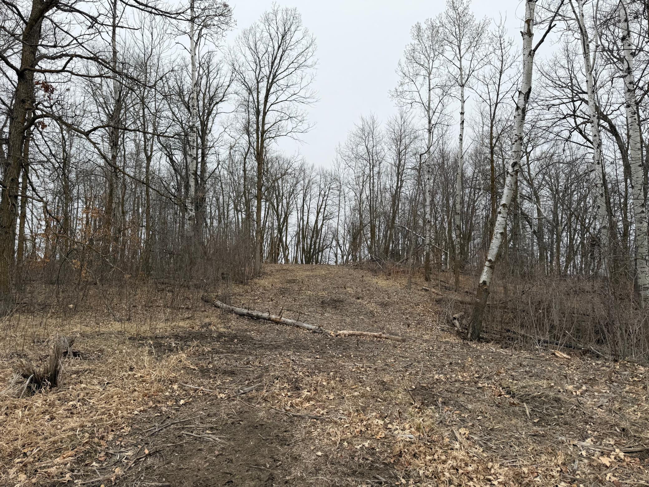 TBD 460th Street, Gonvick MN 56644 - Photo 30 of 57