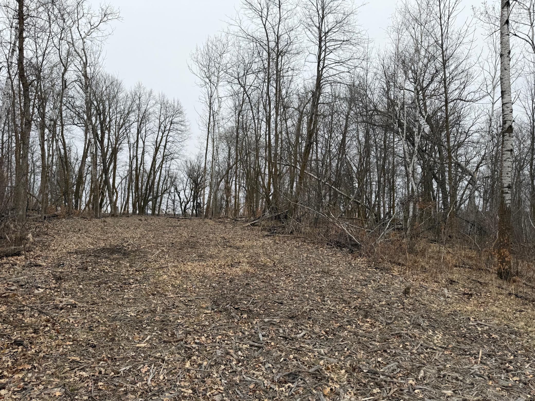 TBD 460th Street, Gonvick MN 56644 - Photo 31 of 57