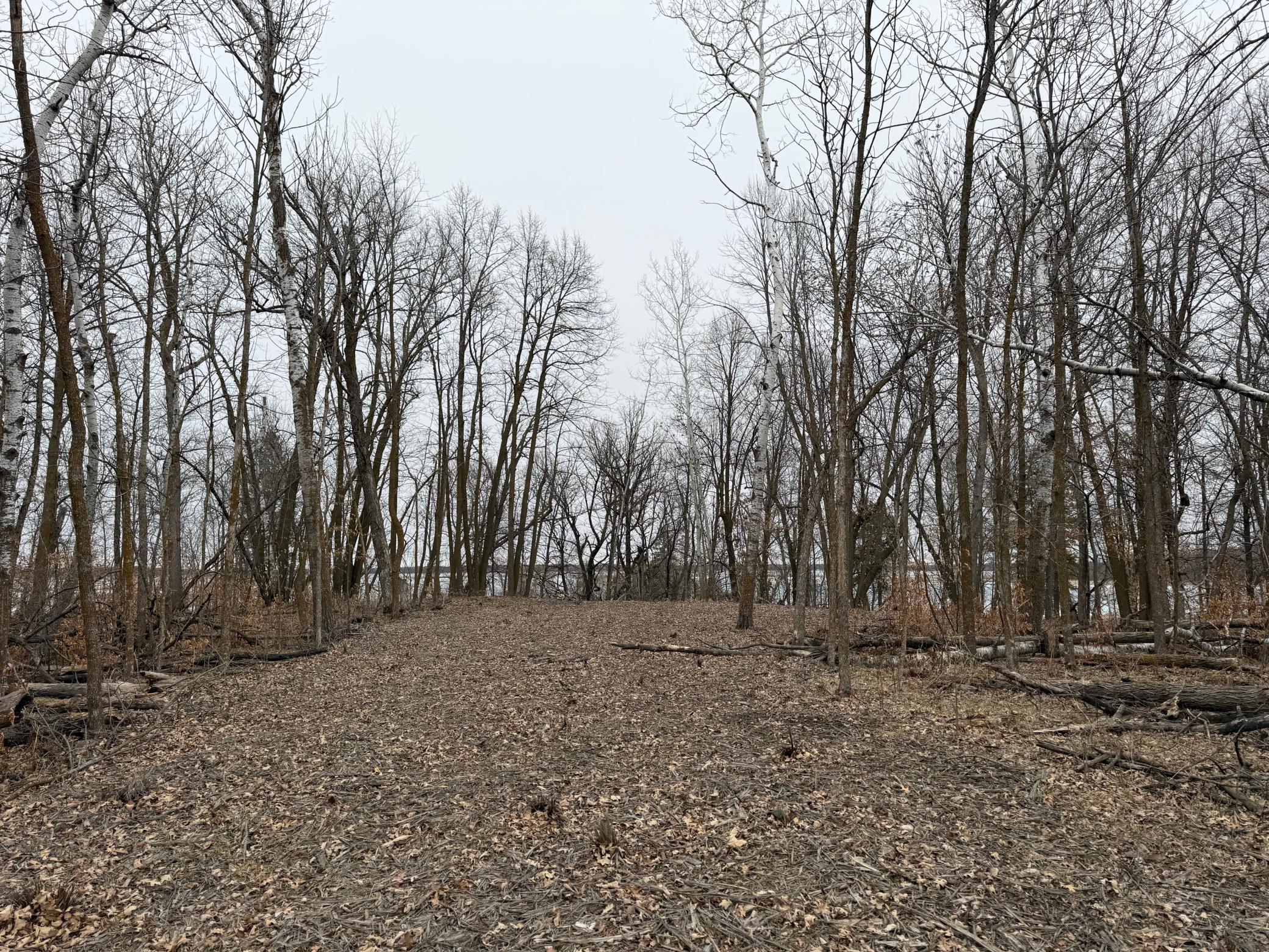 TBD 460th Street, Gonvick MN 56644 - Photo 32 of 57