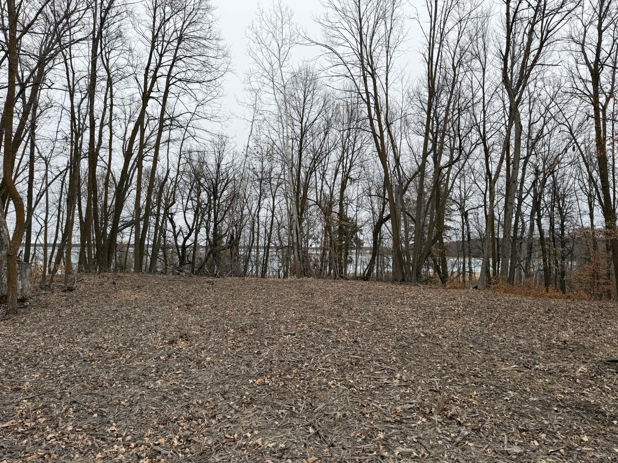TBD 460th Street, Gonvick MN 56644 - Photo 33 of 57